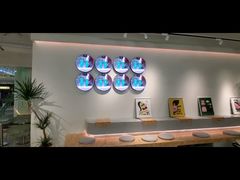 P2 Ecrã LED circular de interior