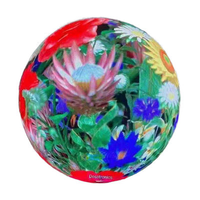P4 Flexible Oled Video Panels Sphere Screen Ball Display FCC Certificated